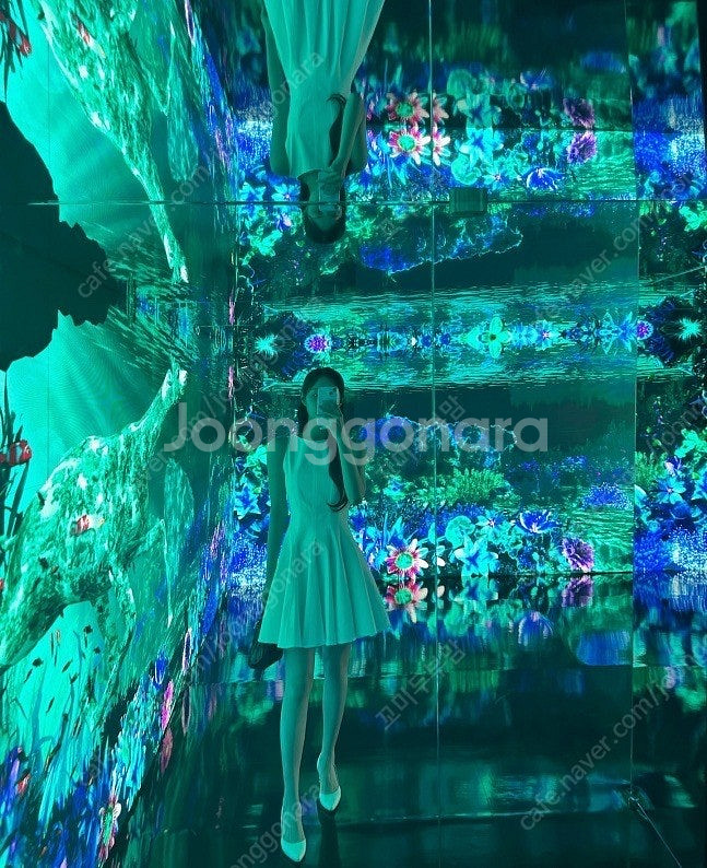 자라 스케이터 원피스 신슬기 착용 (택달린 새상품)--2