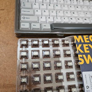 윤지 Yunzii al80에서 적출한 키캡&스위치(코코아크림 V2)