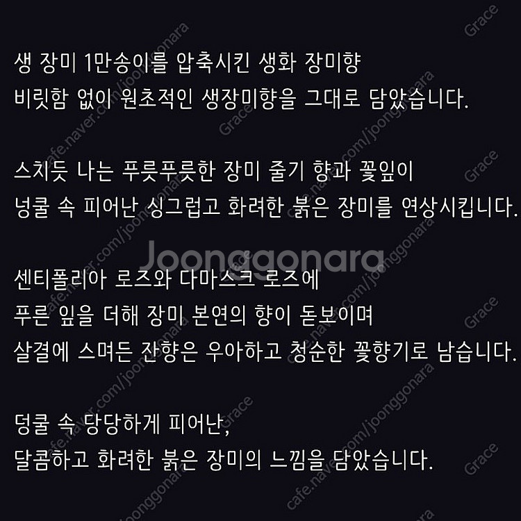 [정품]마인드오버바디 로즈온어플래닛 장미 로즈 텀블벅 ...--5
