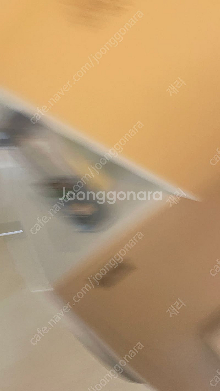 캐니언 로드자전거 엔듀레이스 105 DI2 판매 합니다--2
