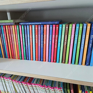 베베코알라 아기 유아책