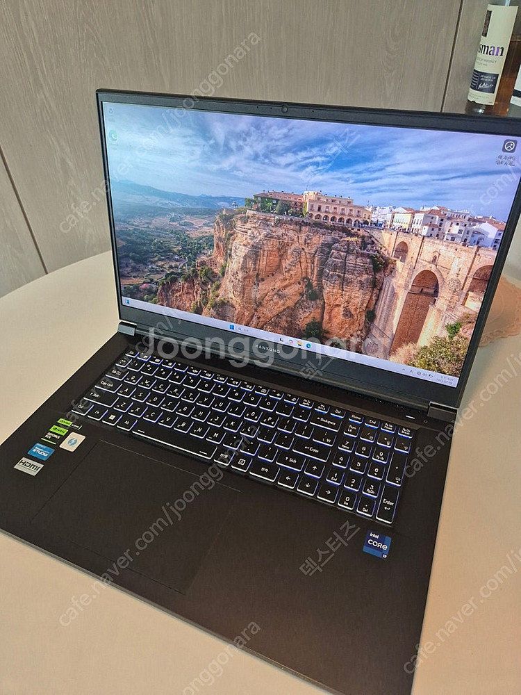 한성 보스몬스터 GTX73 (17인치/i9-13세대/R...--1