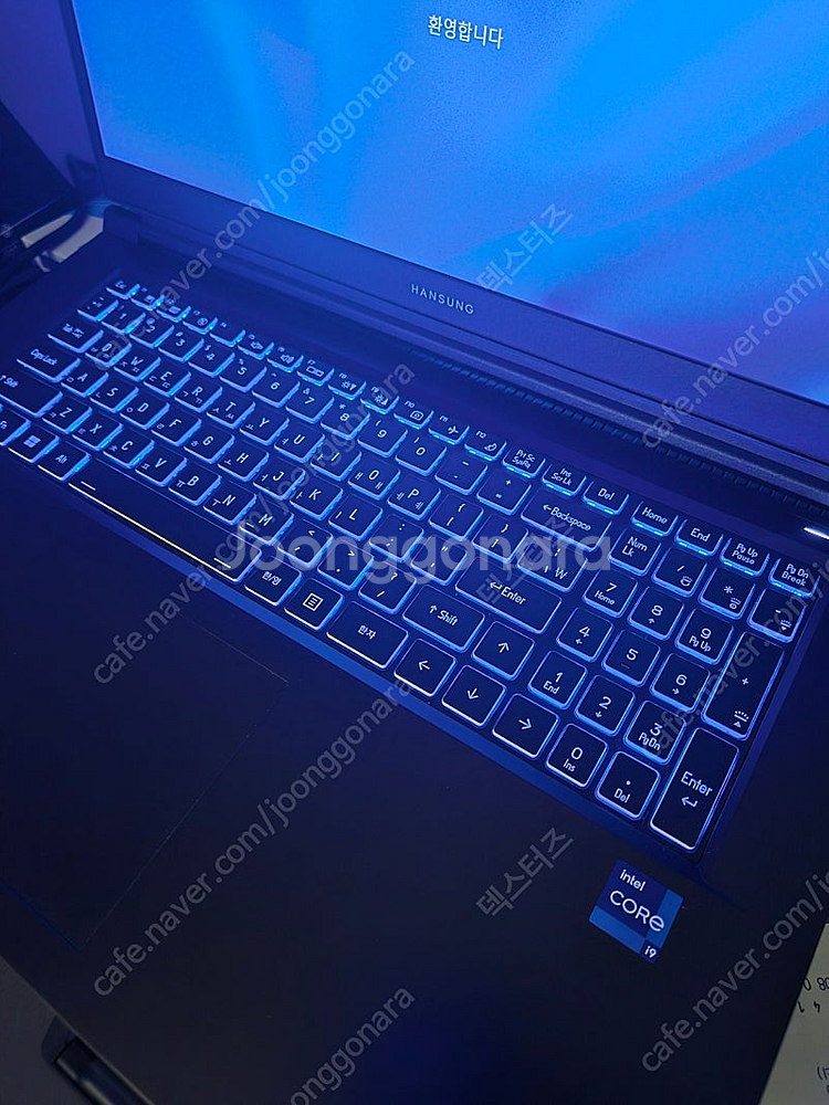 한성 보스몬스터 GTX73 (17인치/i9-13세대/R...--3