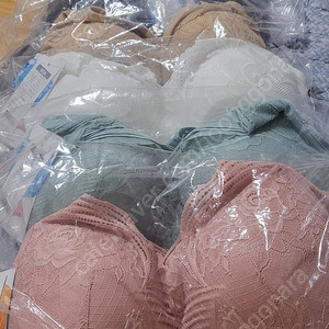 비비안 스킨핏 브라팬티 5세트
