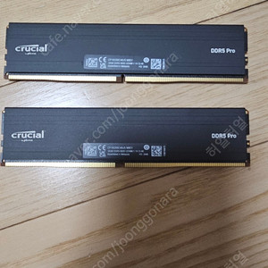크루셜 DDR5 5600 PRO 16G x 2