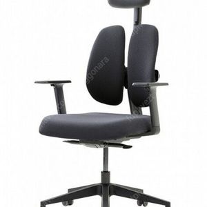 듀오백 골드 의자 D2500G-AS