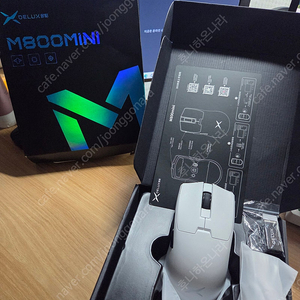 Delux M800 Mini Pro 무선 마우스
