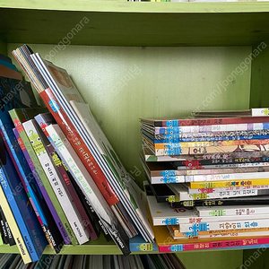 야호 자연아/사파리그림책/창의마루 등 전권