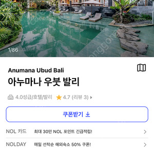 발리우붓시내 아누마나 7\27일 1박양도