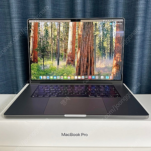 맥북프로 m1 pro 16인치 / 램 16 / SSD 512 / 스그 / A급
