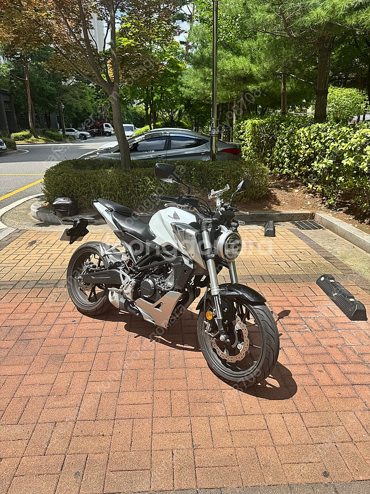 Cb125r 화이트 (개인)--1