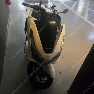 pcx125 2025년식 5월 구매.