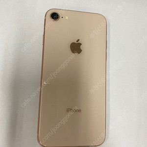 500781 아이폰8 로즈골드 액정SS급 256GB 배터리성능96% 인스타 감성카메라 19만 부천 (대량가능)