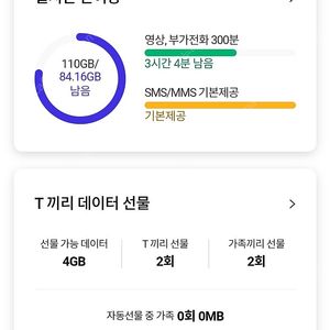 skt 2기가