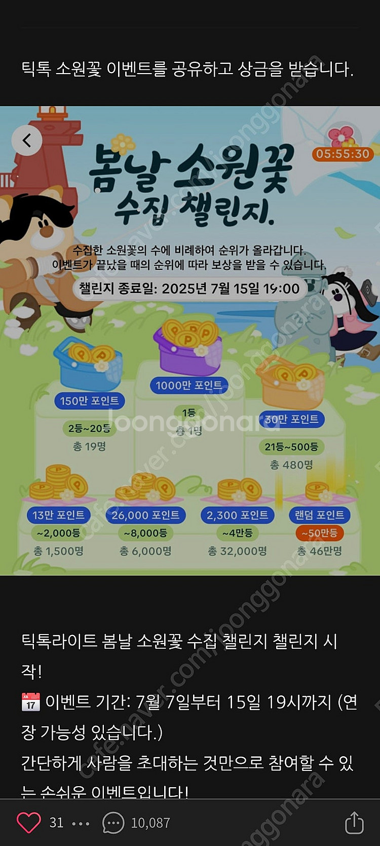 소원꽃--0