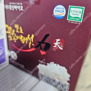 미개봉 발효 꽃송이버섯 45포 한가인영양제