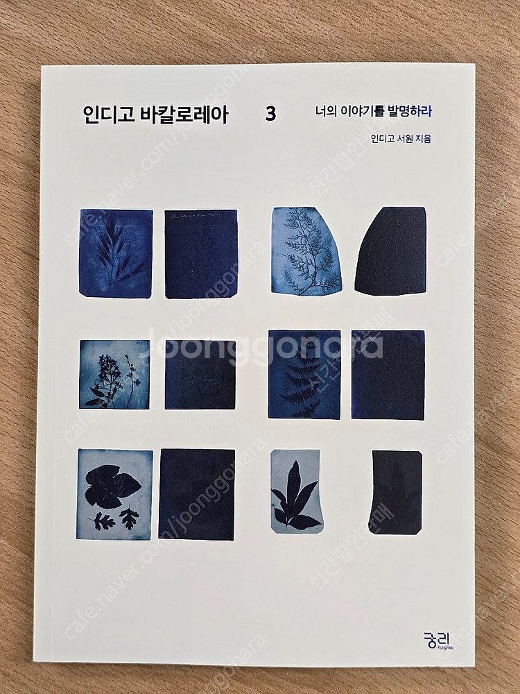 인디고 바칼로레아 3--0