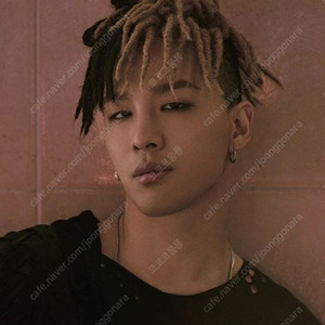 태양 팬미팅