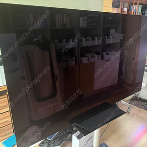 엘지 65인치 OLED TV OLED65BXENA
