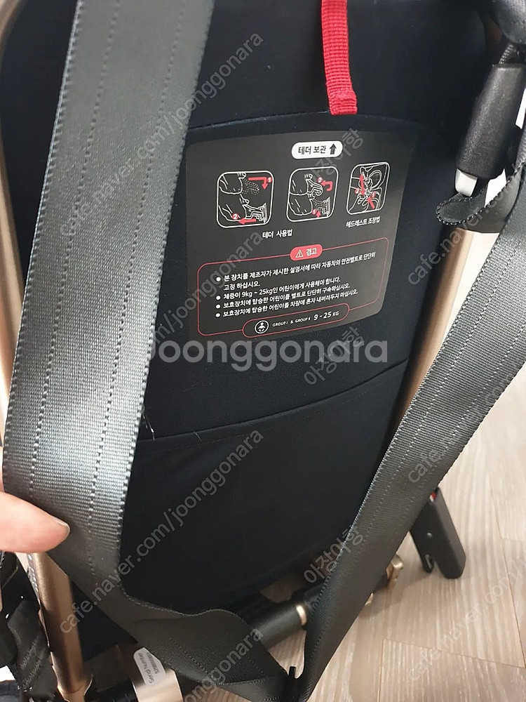 포브 보네떼 휴대용 카시트 골드--3