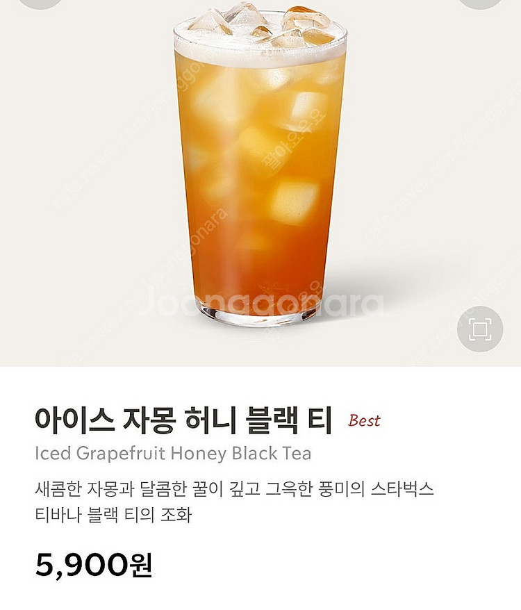 스타벅스 아이스 자몽 허니블랙티 T--0