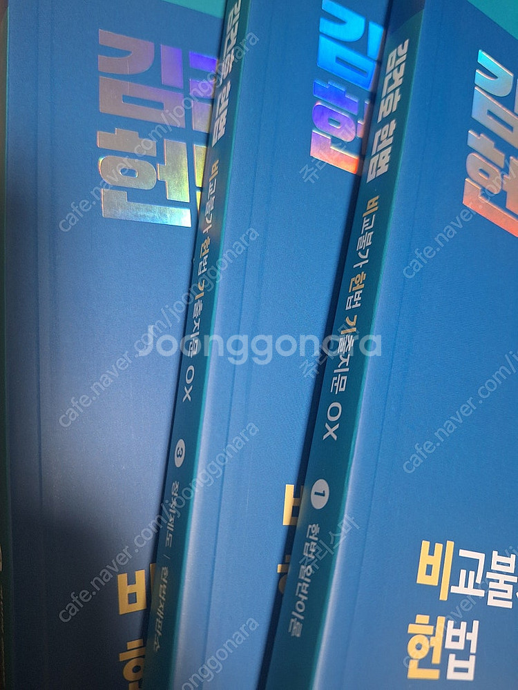 2025 김건호 헌법 비헌기 1600제 ox 모의고사3...--0