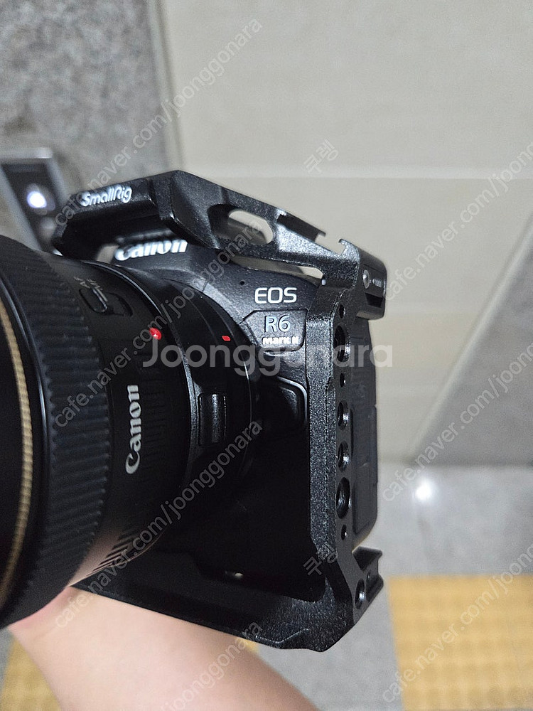 캐논 R6M2 바디--4