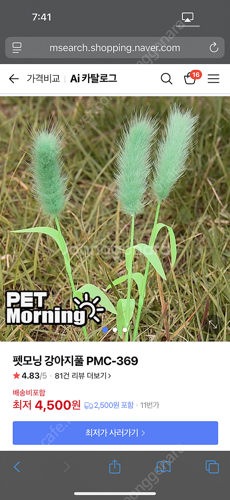 펫모닝 강아지풀 장난감 (총5개)--1