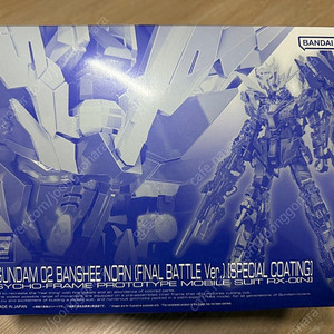 RG 밴시 스페셜코팅