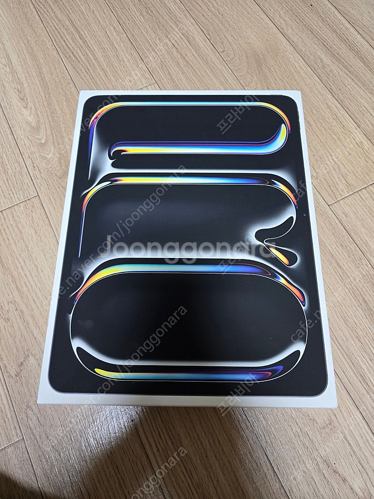 끝판왕 아이패드 Pro 13 M4 2TB 16GB RA...--1