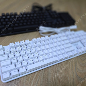 COX CK420 화이트 청축 키보드 팝니다.