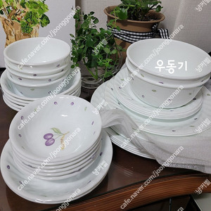 코렐 플럼,개당가