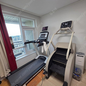 이고진 천국의계단 스텝밀 판매