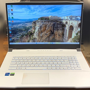 MSI 노트북 Sword 17 A11UE (i7-11800H/RAM16GB/SSD512GB/RTX3060)