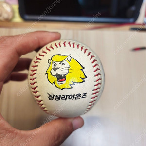삼성라이온즈 옛날팀싸인볼 택포3만