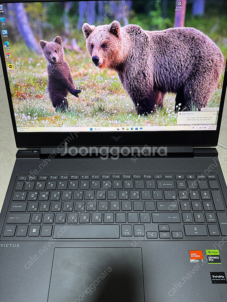빅터스16 라이젠R7 rtx4060--0