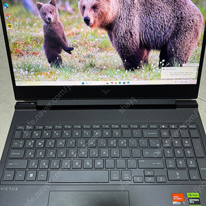 빅터스16 라이젠R7 rtx4060