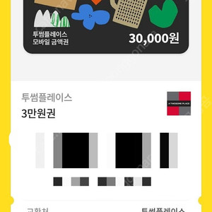 투썸 투썸플레이스 3만원권