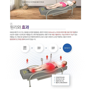 잠언의료기 레이저 조사기 목 등 허리 다리 마사지기
