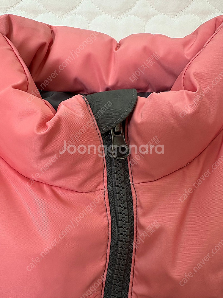 지엘 눕지 패딩 130--4