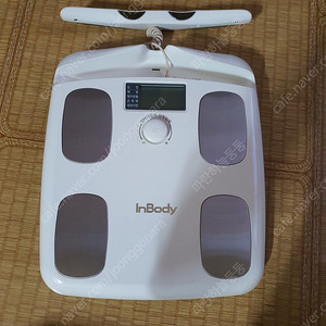 인바디 다이얼 H20B 체지방 측정기