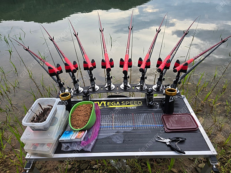 민물낚시대 체어맨레드 팝니다 이미지