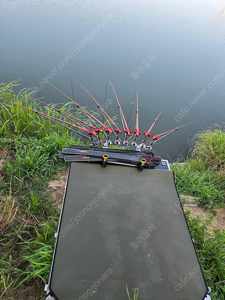 민물낚시대 체어맨레드 팝니다 이미지