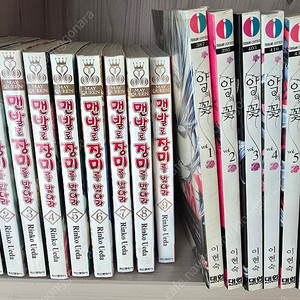 택포 맨발로 장미를 밟아라 악의꽃 16권일괄 순정만화