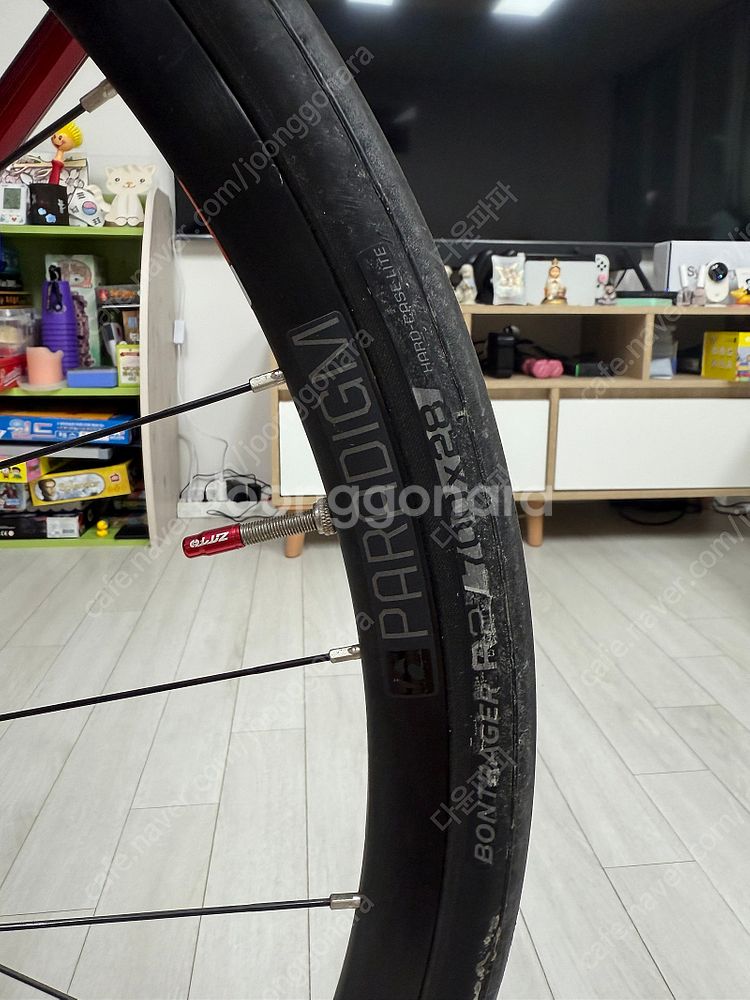 TREK - 2019 트렉 에몬다 SL6 디스크 로드 ...--1