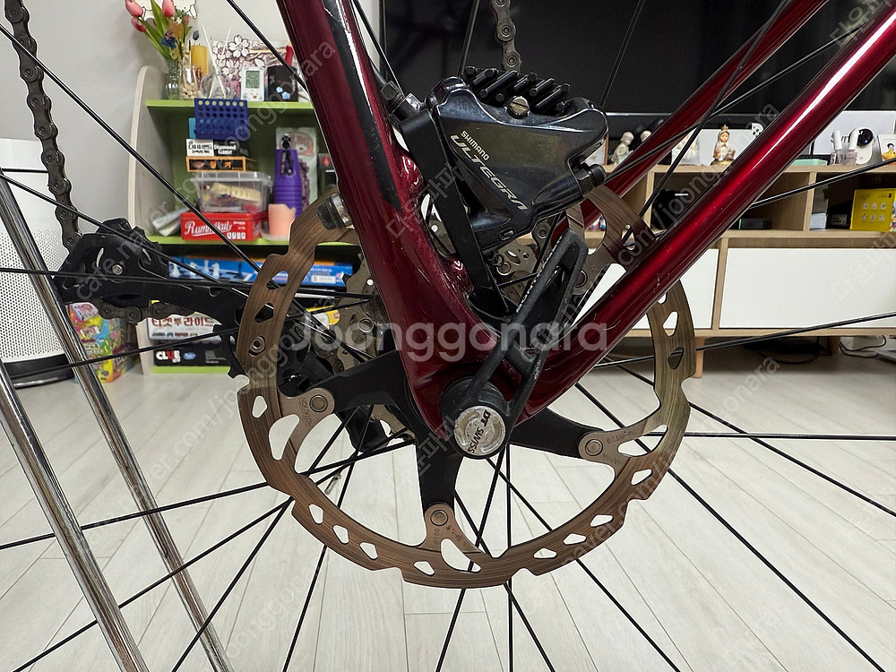 TREK - 2019 트렉 에몬다 SL6 디스크 로드 ...--2