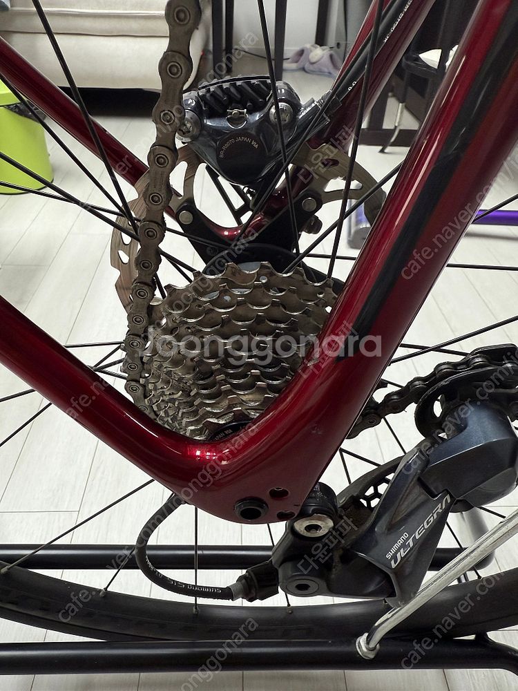 TREK - 2019 트렉 에몬다 SL6 디스크 로드 ...--5