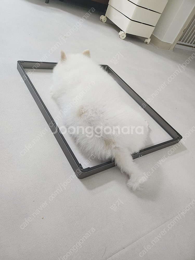 sk 인덕션 3cm 거치대--0