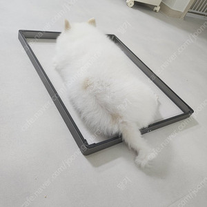 sk 인덕션 3cm 거치대