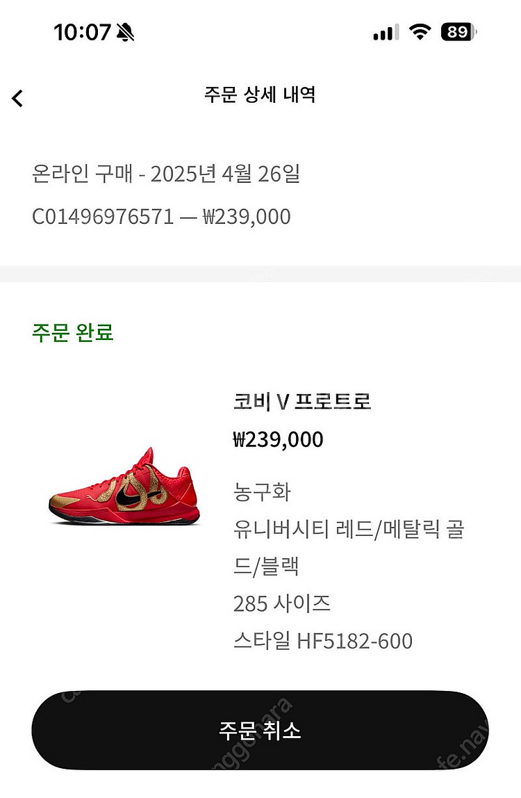 [285] 나이키 코비 5 프로트로 Year of th...--1